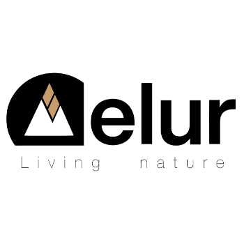 Elur